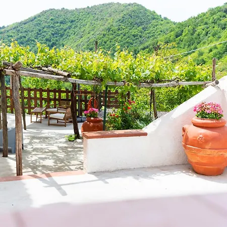 The Seaview From The Terrace With Jacuzzi, Relax & Pools - Dorotea Infinity * Salerno